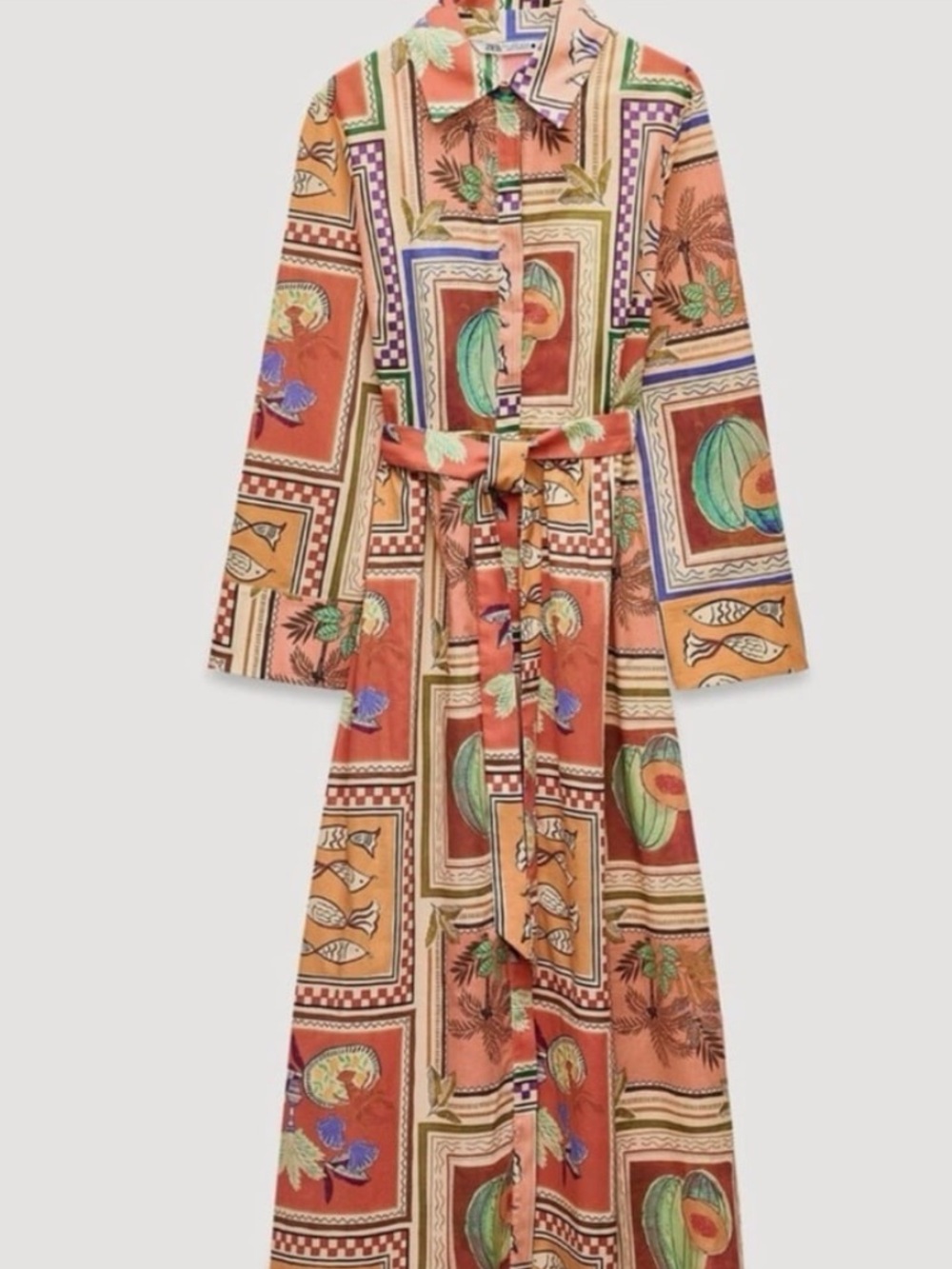 Zara ZW Collection Printed Shirt Dress